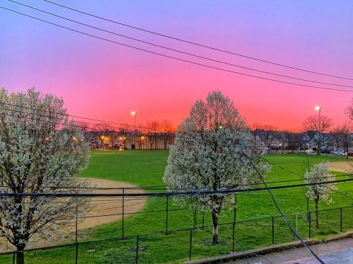 3252 California Ave, Chicago IL 60618-5846 exterior