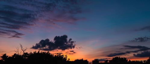 2950 Cortland St, Chicago IL 60647-9558 exterior