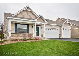 2992 Trillium Ct, Aurora IL  60506-8808 exterior