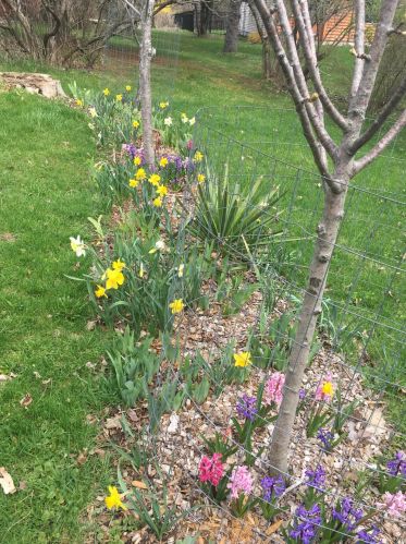 900 Woodward Ave, Big Rapids MI 49307-9201 exterior