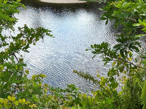 2326 45 Ave, Naples FL 34120-7505 exterior