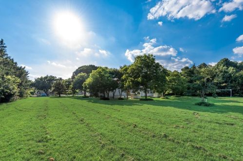 2634 Cypress Ave, Dallas TX  75227-8024 exterior