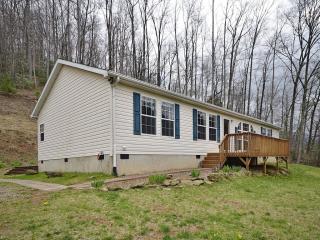 156 Legend Trl, Canton, NC 28716-8635