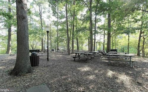 5902 Mount Eagle Dr, Alexandria VA 22303-2513 exterior