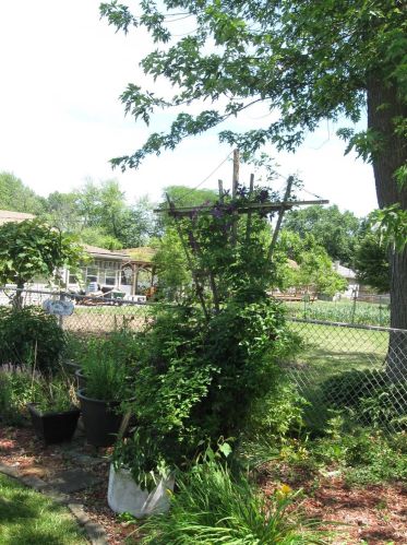 7514 Montana St, Gary IN 46403-3462 exterior