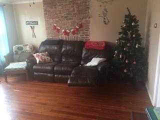 134 Bertha St, Pittsburgh PA  15211-1520 exterior