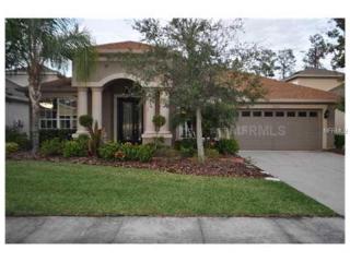 27145 Firebush Dr, Zephyrhills FL  33544-8788 exterior