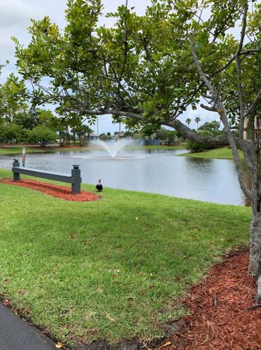 1650 Green Acres Cir, Fort Pierce, FL 34952-5079