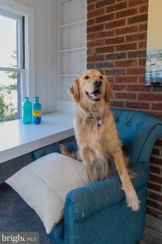 9607 Hastings Dr, Silver Spring MD 20901-3198 exterior