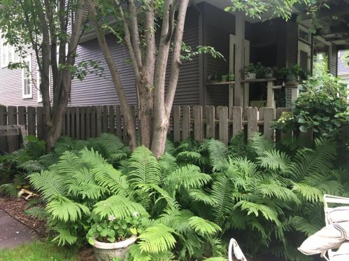 872 Goodrich Ave, Saint Paul MN 55105-3124 exterior