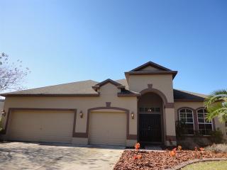 19222 Meadow Pine Dr, Tampa FL  33647-3615 exterior