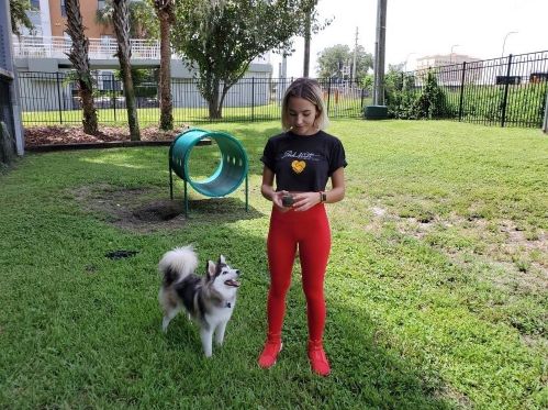 860 Orange Ave, Orlando FL 32801-1015 exterior