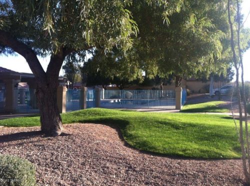 8176 Prickly Poppy Dr, Tucson AZ  85715-6818 exterior