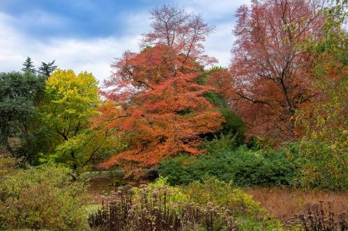 39 Goldsmith St, Boston MA exterior