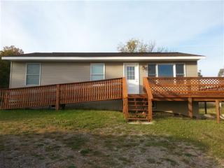 14210 21 Mile Rd, Big Rapids, MI 49307-9322