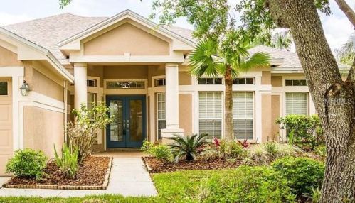 10250 Shadow Branch Dr, Tampa, FL 33647-3116
