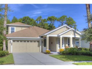 20138 Heritage Point Dr, Tampa FL  33647-3472 exterior