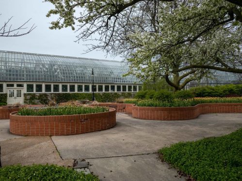 104 Hamlin Blvd, Chicago IL 60624-2592 exterior