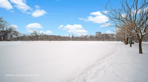 925 Lytle St, Chicago IL  60607-4704 exterior