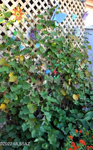 4114 Monte Vis Dr, Tucson AZ 85712-5516 exterior