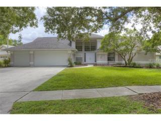 15808 Dawson Ridge Dr, Tampa, FL 33647-1320
