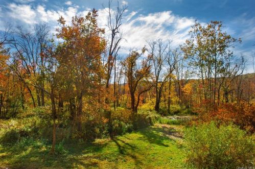 643 Br Rd, Patterson NY 12563-2102 exterior