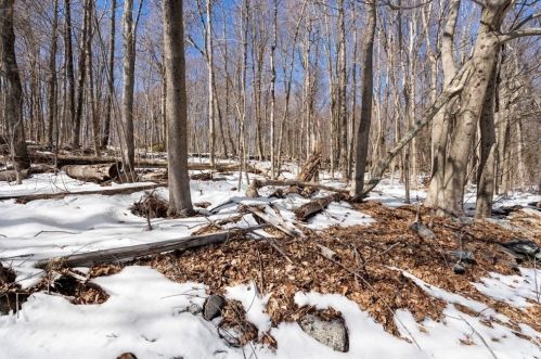 53 Chatanika Ave, Worcester MA 01602-1110 exterior