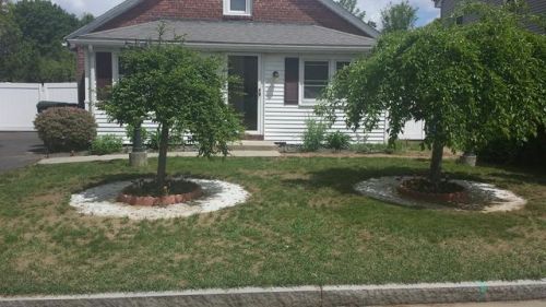 11 Fordham St, Springfield MA  01104-2119 exterior