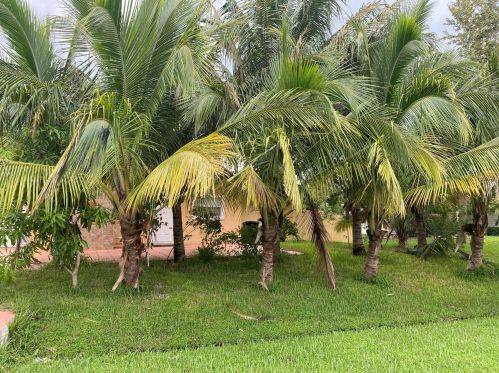 2320 Savona Blvd, Fort Pierce FL 34953-2213 exterior