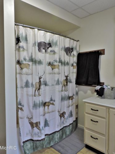 629 Division St, Big Rapids MI 49307-1918 exterior