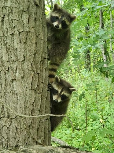 4480 Coit Ave, Grand Rapids MI 49525-1110 exterior