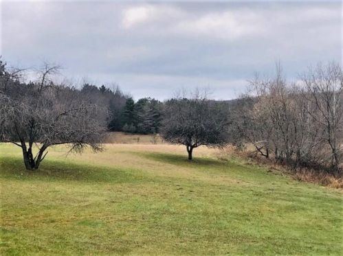 23494 Meceola Rd, Reed City, MI 49677-9007