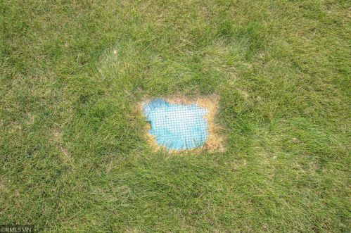 1024 Madisson St, Alex MN  56308-4897 exterior