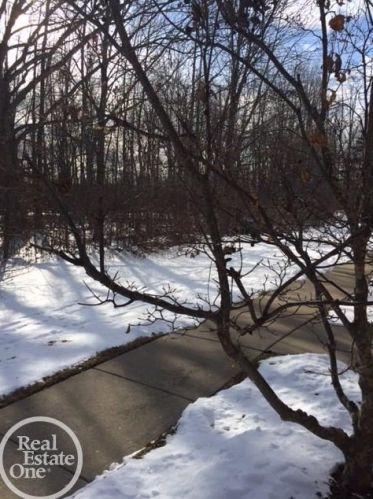 52058 Heatherstone Ave, Macomb Township MI  48042-3554 exterior