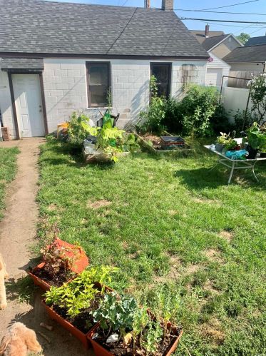 116 Broadway St, Mishawaka IN 46545-6135 exterior