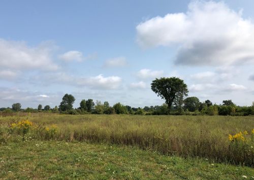 2521 64 St, Fennville MI 49408-9506 exterior