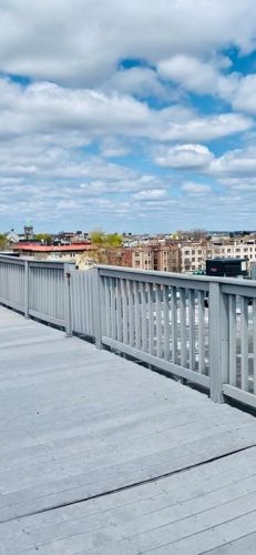 59 Brainerd Rd, Boston MA exterior