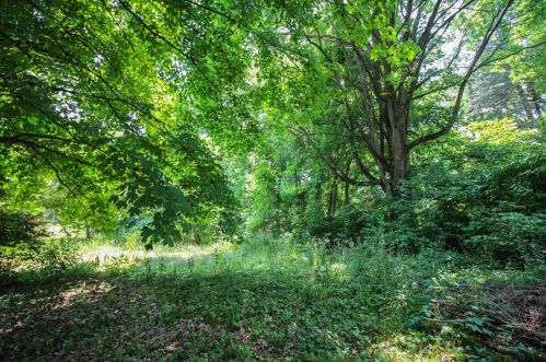 227 2 Ave, Three Rivers MI 49093-1104 exterior