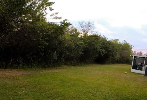 14206 Boca Ky Dr, Orlando FL 32824-5241 exterior