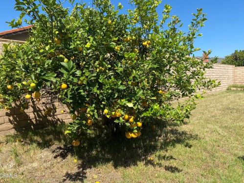 1341 Bottlebrush Pl, Oxnard CA 93030-5200 exterior