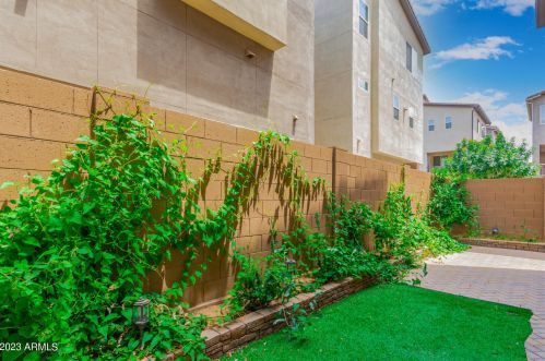 7084 Jasper Dr, Chandler AZ 85226 exterior