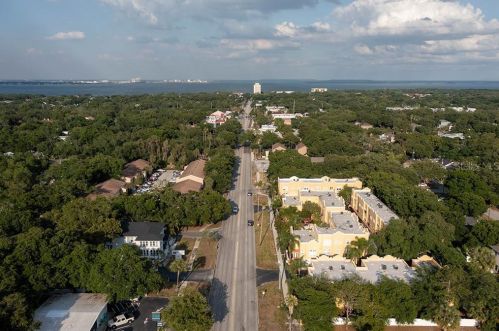 3320 Las Campos Pl, Tampa, FL 33611-2967