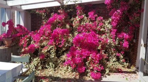 232 Ocean Ave, Middletown RI 02840-6507 exterior