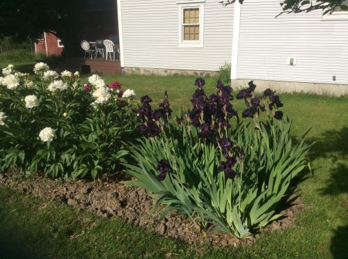 900 Woodward Ave, Big Rapids MI 49307-9201 exterior