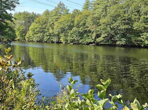 75 River Rd, Concord, NH 03303-2015