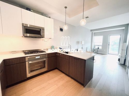 100 Shawmut Ave, Boston, MA