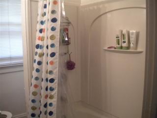 1219 Packard St, Ann Arbor MI  48104-3813 exterior