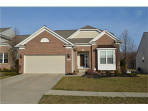 9141 Tahoe Cir, Cleveland OH  44136-1412 exterior