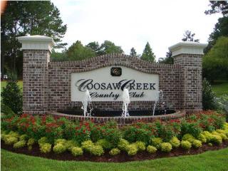 4217 Buck Creek Ct, Charleston, SC 29420-7519