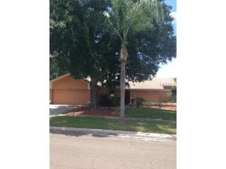 8635 Chadwick Dr, Tampa, FL 33635-6211